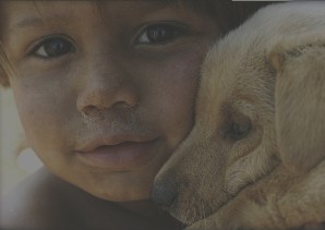 Counseling and Psychotherapy Services for the North Shore and Chicagoland